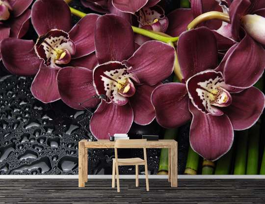 Фотообои, Бордовые орхидеи