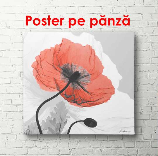 Постер - Красный мак на сером фоне, 100 x 100 см, Постер в раме, Прованс