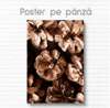 Постер - Шишки, 30 x 45 см, Холст на подрамнике, Ботаника