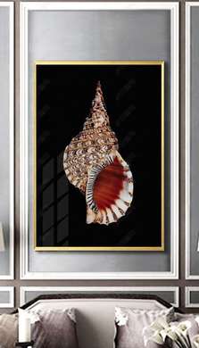 Poster - Shell, 30 x 45 см, Canvas on frame