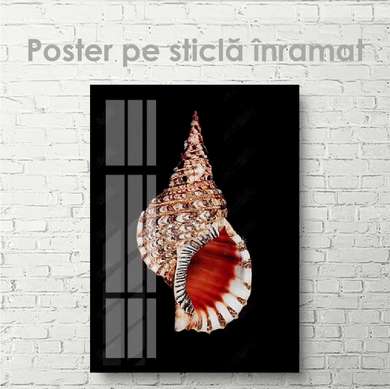 Poster - Scoică, 30 x 45 см, Panza pe cadru