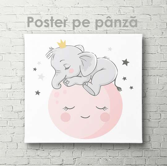 Poster - Elephant on the moon, 40 x 40 см, Canvas on frame, For Kids