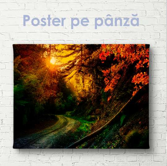 Постер - Яркий осенний закат в лесу, 45 x 30 см, Холст на подрамнике, Природа