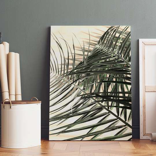 Poster - Frunze de palmier, 30 x 45 см, Panza pe cadru, Botanică