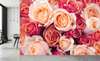Wall Mural - Red and white roses