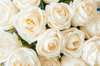 Wall Mural - Bouquet of beige roses