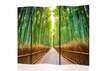 Screen - Bamboo forest, 7