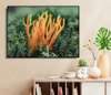 Постер - Яркий коралл, 45 x 30 см, Холст на подрамнике, Ботаника
