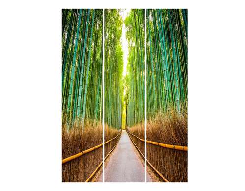 Paravan - Pădurea de bambus, 7