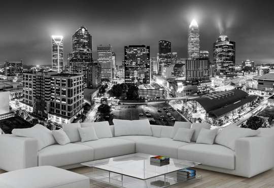 Wall Mural - Black and white night city