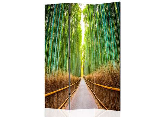 Paravan, Pădurea de bambus, 7