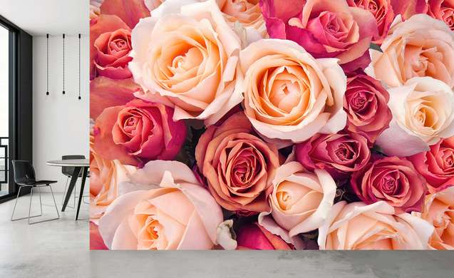 Fototapet - Trandafiri rosii si albi