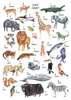 Постер - Алфавит с животными для детей, 30 x 45 см, Холст на подрамнике