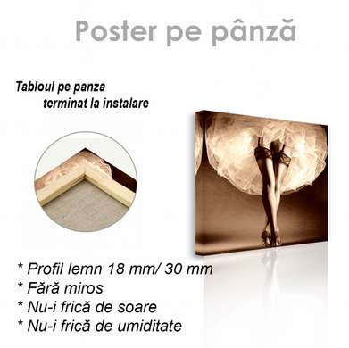 Poster - Sub rochie, 40 x 40 см, Panza pe cadru