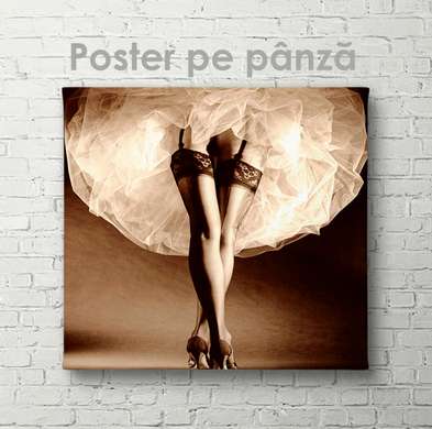 Poster - Sub rochie, 40 x 40 см, Panza pe cadru