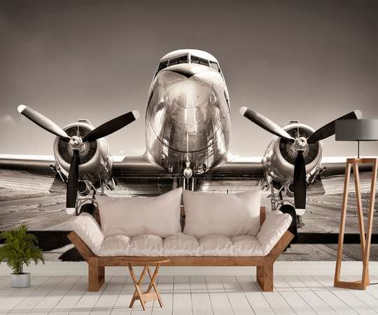 Wall Mural - Black and white shot of an airplane