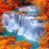 Wall Mural - Amazing waterfall in a beautiful autumn forest