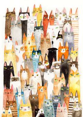 Poster, Pisicile, 30 x 45 см, Panza pe cadru