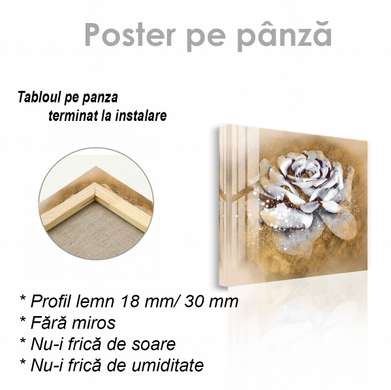 Poster - White rose on a golden background, 40 x 40 см, Canvas on frame