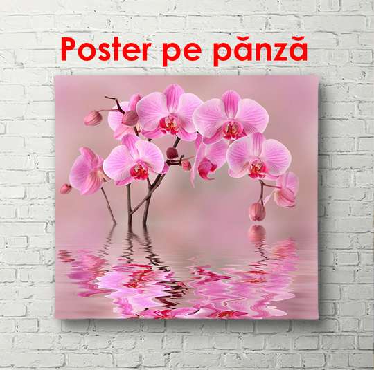 Постер - Орхидея в отражении воды, 100 x 100 см, Постер в раме, Цветы