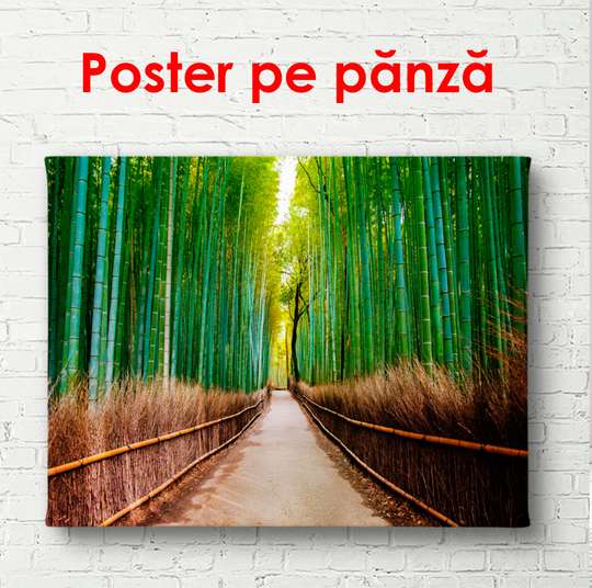 Poster - Bamboo road, 90 x 60 см, Framed poster, Nature
