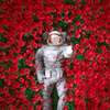 Постер - Космонавт в красных розах, 40 x 40 см, Холст на подрамнике, Разные