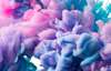 Fototapet | Abstractie - Fum violet |Magazin Online Artshop.md | +373 68527627