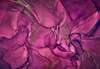 Fototapet - Fluid roz aprins