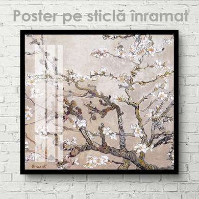 Постер - Ветка цветущей вишни, 40 x 40 см, Холст на подрамнике