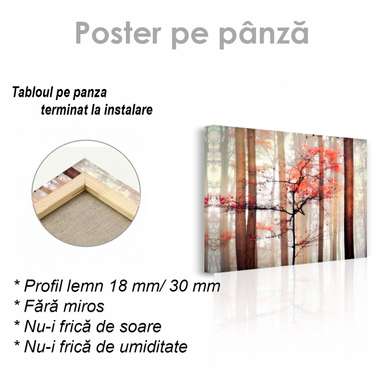 Poster - Toamna, 45 x 30 см, Panza pe cadru