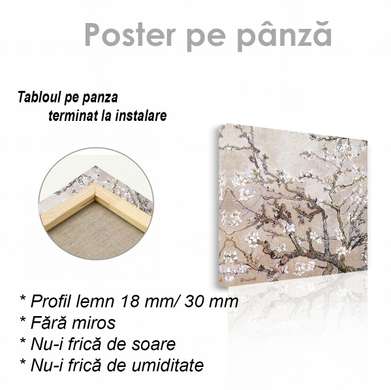 Poster - Ramură de vișin înflorit, 40 x 40 см, Panza pe cadru