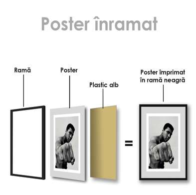 Poster - Sportsman, 30 x 45 см, Panza pe cadru
