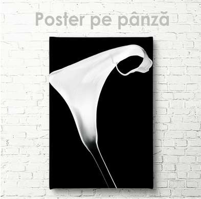 Poster - Floarea albă, 30 x 45 см, Panza pe cadru