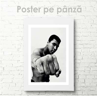 Poster - Sportsman, 30 x 45 см, Panza pe cadru