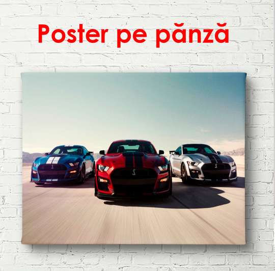 Poster - Car race, 90 x 45 см, Framed poster, For Kids