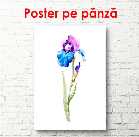 Постер - Цветок ириса в акварельном стиле, 30 x 60 см, Холст на подрамнике, Минимализм