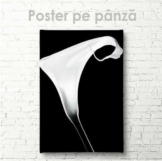 Poster, Floarea albă, 30 x 45 см, Panza pe cadru