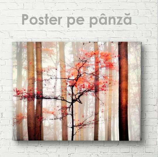 Постер - Осень, 45 x 30 см, Холст на подрамнике, Природа