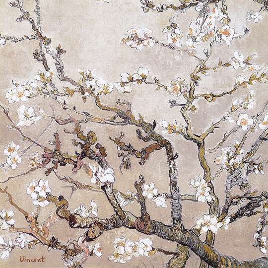 Постер - Ветка цветущей вишни, 40 x 40 см, Холст на подрамнике, Ботаника