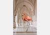 Fototapet - Flamingo într-un hol