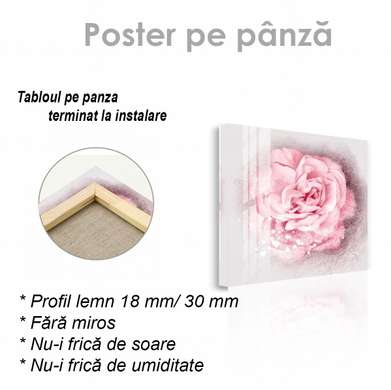 Poster - Frumusețe gingașă, 40 x 40 см, Panza pe cadru