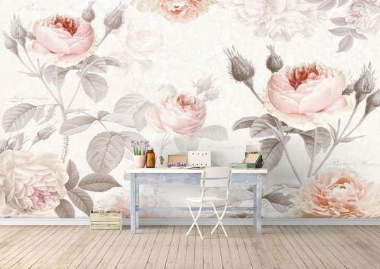 Wall Mural - Beige roses on a white background