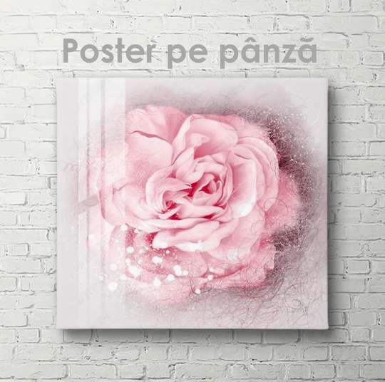 Poster - Delicate beauty, 40 x 40 см, Canvas on frame, Flowers