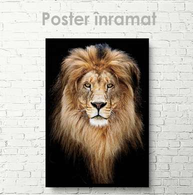 Poster, Leul grațios, 30 x 45 см, Panza pe cadru