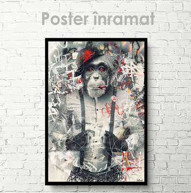 Poster, Maimuta Glamour, 30 x 45 см, Panza pe cadru