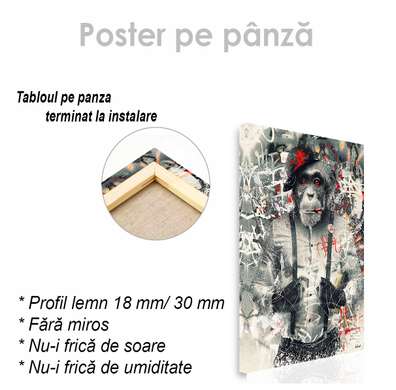 Poster, Maimuta Glamour, 30 x 45 см, Panza pe cadru