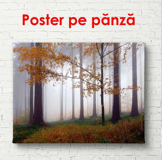 Постер - Туманный лес, 90 x 60 см, Постер в раме, Природа