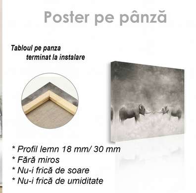 Poster, Echilibru, 40 x 40 см, Panza pe cadru