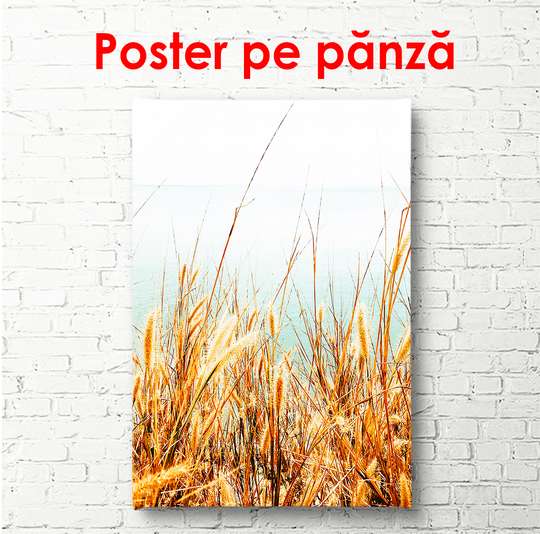 Poster - Barley field by the sea, 30 x 60 см, Canvas on frame, Nature