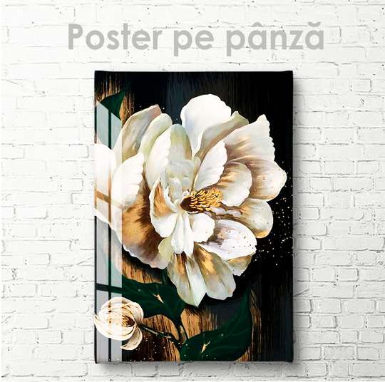 Постер - Белый цветок на темном фоне, 30 x 45 см, Холст на подрамнике, Ботаника